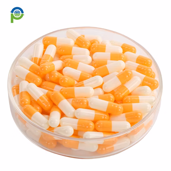 Gélatine vide dure halal/pullulan/HPMC/légume/capsule propre